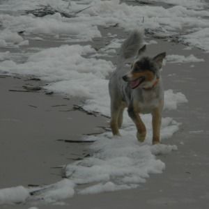 Meet your Posher, Wendy